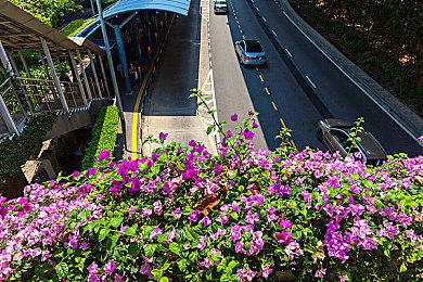 《心灵杀手2》新实机视频展示女主萨加·安德森